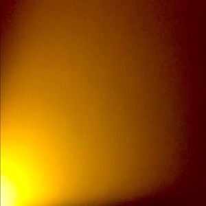 Meet your Posher, Tia